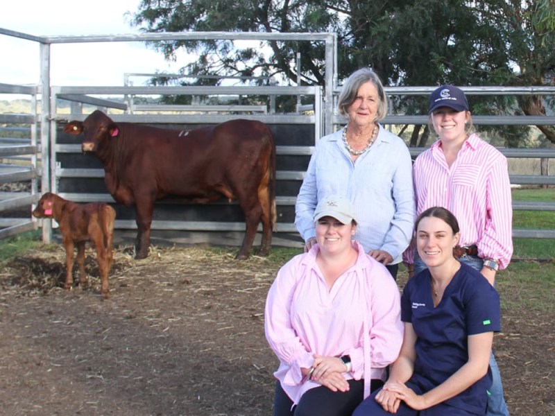 $24,000 top priced&nbsp;female