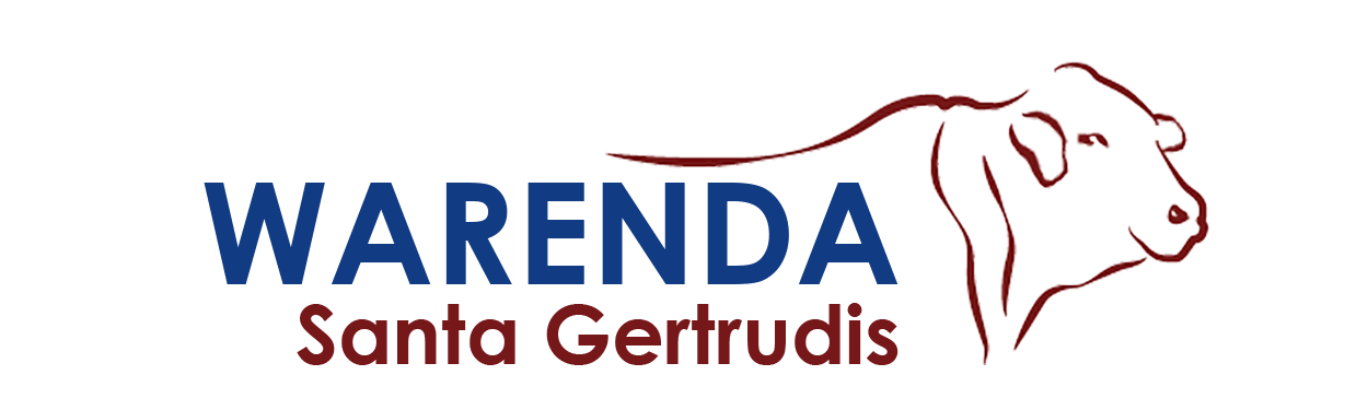 Warenda Santa Gertrudis